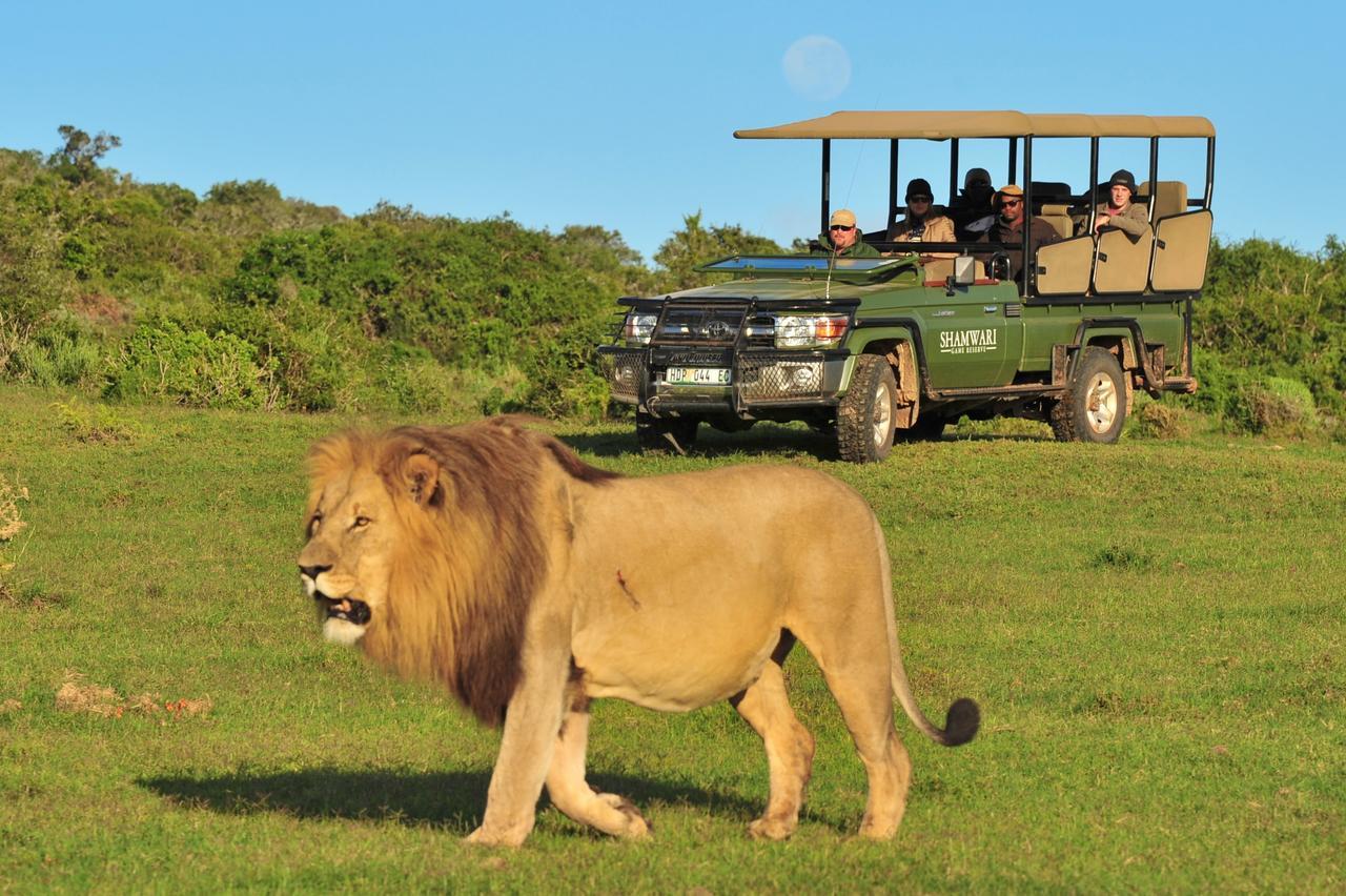 Shamwari Eagles Crag Villa Port Elizabeth Eksteriør bilde